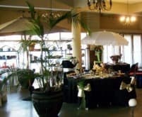 Dressed tables, a draped arch and potted plants set out for a function